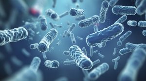 تعدادی باکتری